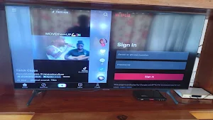 Split Screen Browser For TV Screenshot 1