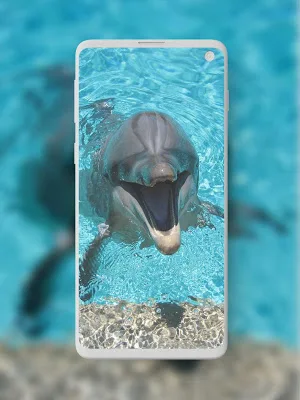 Animal Wallpapers Screenshot 3
