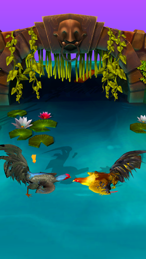 Village cock Fight Screenshot 0