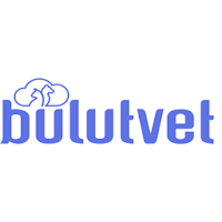 Bulutvet