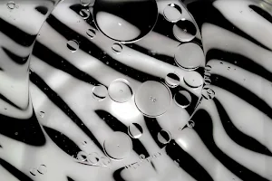 Zebra print wallpapers Screenshot 1
