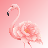 Flamingo Flowers | فلامنجو