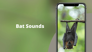 Bat sounds - Bat Noises Screeches and Calls Screenshot 0