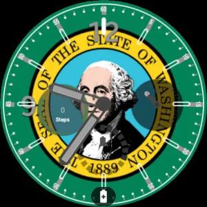 Washington Flag Watchface Screenshot 3