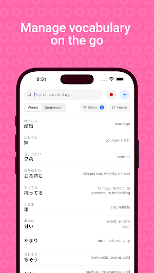 Lexirise Screenshot 1