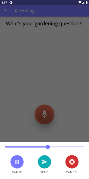 Q&A VoxPop screenshot 5