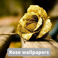 Rose Gold Wallpapers HD/4K