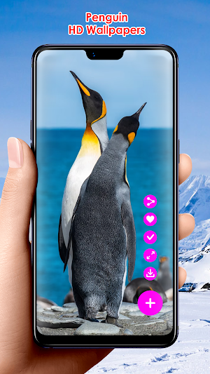 Penguin HD Wallpapers Screenshot 0