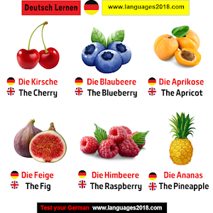 Deutsch Lernen - Learn German Screenshot 3