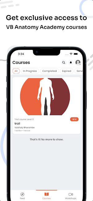 VB Anatomy Screenshot 2