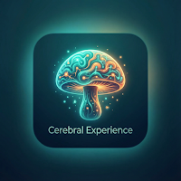 Cerebral Experience