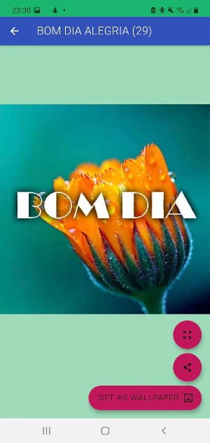 MANHÃ FELIZ BOM DIA DEDICAÇOES Screenshot 3