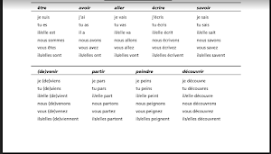 French Grammar in Context Screenshot 1