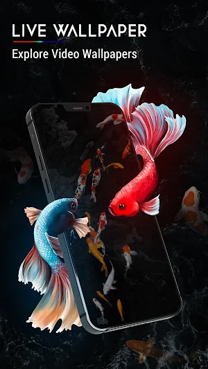 Wallpapers HD Live Background Screenshot 3