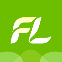FinLumi - Credit Assistant