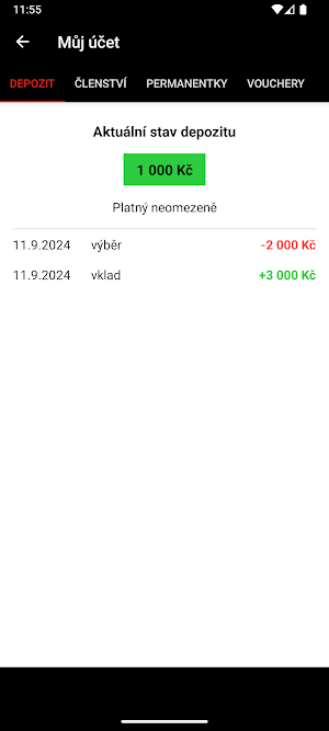 TJ Ostrava Screenshot 2