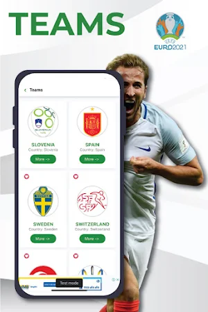 UEFA EURO CUP Screenshot 2