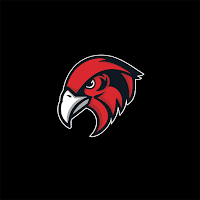 Bellingham Bayhawks