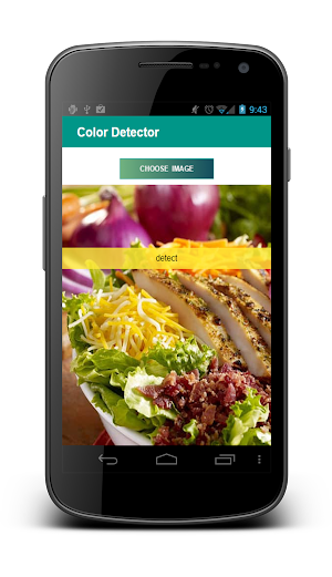 Color Detector Screenshot 1