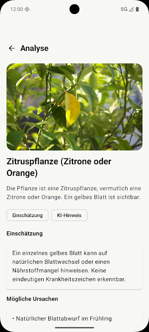 Laubenmeister Screenshot 2