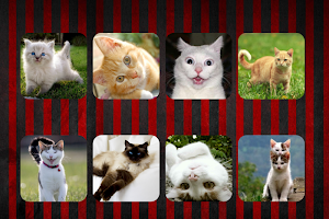 Cat Sounds Screenshot 1