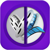 Deleted Video Recovery
