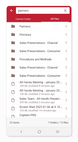 Files.com Screenshot 3