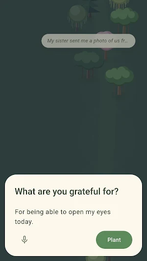 Gratitude Forest Screenshot 3