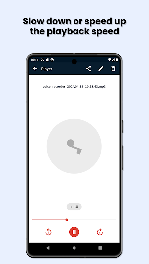 Easy Voice Recorder & Memos Screenshot 2