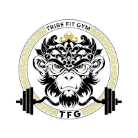 TRIBE FIT GYM