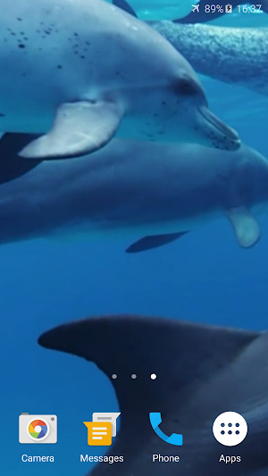 Dolphins Live Wallpaper Screenshot 1