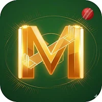 T20 Cricket Insights: Maidan