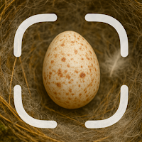 Egg Identifier
