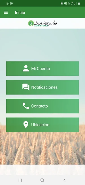 Don Ampelio Screenshot 2
