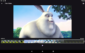 Pota Video Trimmer Screenshot 3