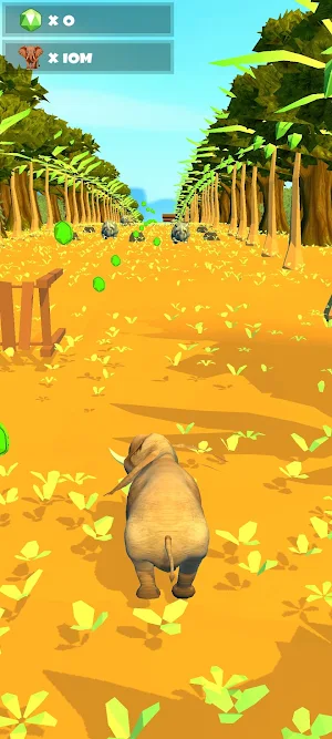 Animal Run Screenshot 2