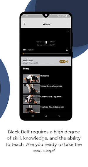 BJJ Black Belt Requirements Screenshot 2