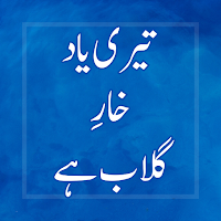 Teri Yaad Khaar e Gulab Hai