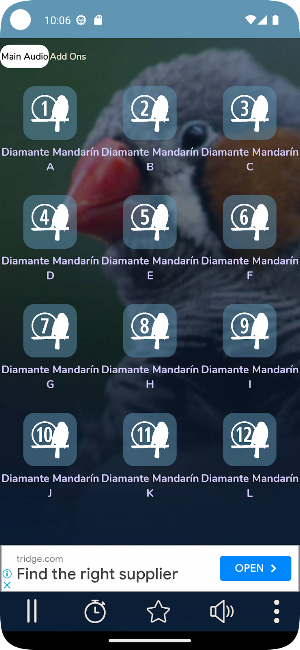 Canto Diamante Mandarín Macho Screenshot 1
