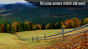 Autumn Ambience HD IAP Screenshot 3