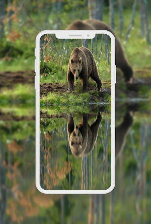 Wildlife Animals Wallpaper Screenshot 2