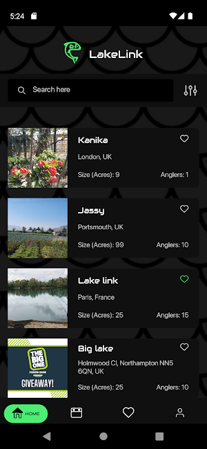 Lake Link Screenshot 0