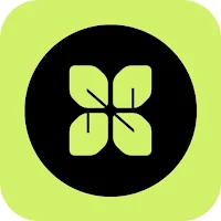 Live VPN