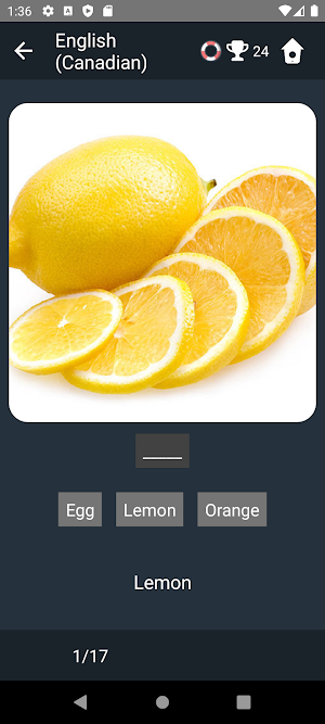 Canadian English Tests Screenshot 3