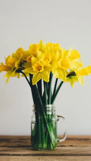 Daffodil Wallpapers Screenshot 0
