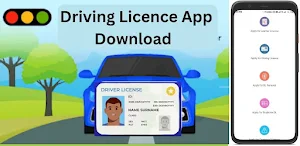 Driving Licence Check App Screenshot 0
