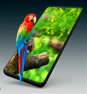 Wallpaper Bird 3D Effect Live Screenshot 3