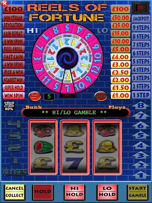 Reels of Fortune Pub Fruit Machine Slots Screenshot 2