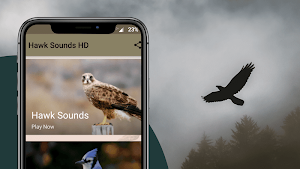 Hawk Sounds Screenshot 0