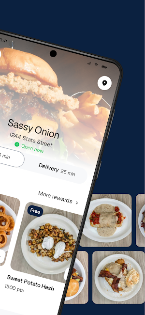 Sassy Onion Screenshot 1